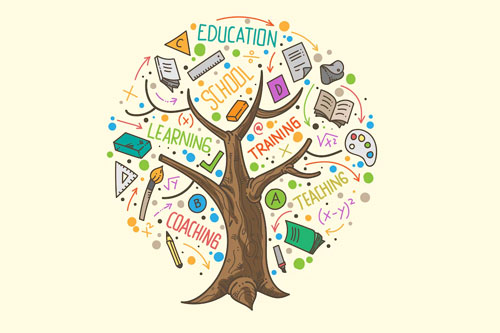 education tree vector